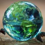 Ants & the World
