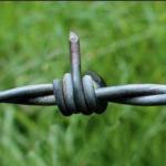 barbed wire bird flip meme