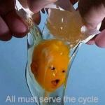 egg baby