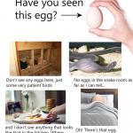 Have you seen this egg?