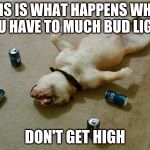 drunk dog | THIS IS WHAT HAPPENS WHEN YOU HAVE TO MUCH BUD LIGHT DON'T GET HIGH | image tagged in drunk dog | made w/ Imgflip meme maker