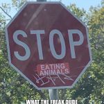Vegan stop sign | CATS THESE DAYS; WHAT THE FREAK DUDE WHATS WRONG WITH CATS | image tagged in vegan stop sign | made w/ Imgflip meme maker