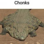 Thicc crocodile | Chonks | image tagged in thicc crocodile | made w/ Imgflip meme maker