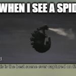 Spider | ME WHEN I SEE A SPIDER: | image tagged in gifs,godzilla | made w/ Imgflip video-to-gif maker