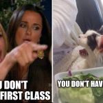 Fluffia | YOU DON'T HAVE ANY CLASS; YOU DON'T DESERVE FIRST CLASS | image tagged in fluffia | made w/ Imgflip meme maker