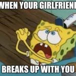 Begging BOB Fix EUW | WHEN YOUR GIRLFRIEND; BREAKS UP WITH YOU | image tagged in begging bob fix euw | made w/ Imgflip meme maker