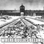 Auschwitz | WHERE BULLIES BELONG | image tagged in auschwitz | made w/ Imgflip meme maker