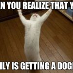 Why Why Why Funny Cat | WHEN YOU REALIZE THAT YOUR; FAMILY IS GETTING A DOGE!!!!! | image tagged in why why why funny cat | made w/ Imgflip meme maker