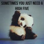 panda high five