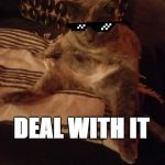 Human cat | DEAL WITH IT | image tagged in human cat | made w/ Imgflip meme maker