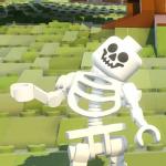 confused lego skeleton