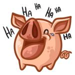 Laughing Pig