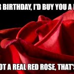 Red Rose | FOR YOUR BIRTHDAY, I'D BUY YOU A RED ROSE; ...BUT NOT A REAL RED ROSE, THAT'S CRUEL | image tagged in red rose | made w/ Imgflip meme maker