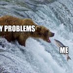 Bear catching salmon | MY PROBLEMS; ME | image tagged in bear catching salmon | made w/ Imgflip meme maker