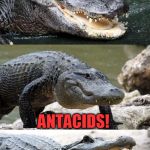 Bad Pun Alligator | WHAT DO ANTEATERS TAKE WHEN THEY HAVE UPSET STOMACHS? ANTACIDS! | image tagged in bad pun alligator,memes,ants,insects,stomach,sick | made w/ Imgflip meme maker