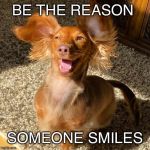 Little Miss | BE THE REASON; SOMEONE SMILES | image tagged in smile,dog,happy,motivation,cute puppy | made w/ Imgflip meme maker