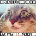 OMG Cat  | WHEN PRESIDENT JOHNSON REALIZED; VIETNAM WASN'T BACKING DOWN | image tagged in omg cat | made w/ Imgflip meme maker