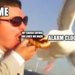 swiping seagull | ME; MY CRUSH SAYING SHE LIKES ME BACK; ALARM CLOCK | image tagged in swiping seagull | made w/ Imgflip meme maker