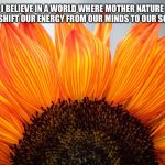 gratitude | I BELIEVE IN A WORLD WHERE MOTHER NATURE CAN SHIFT OUR ENERGY FROM OUR MINDS TO OUR SOULS | image tagged in gratitude | made w/ Imgflip meme maker
