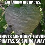 Wasp Hive | BAD RANDOM LIFE TIP #175:; BEEHIVES ARE HONEY-FLAVORED PIÑATAS, SO SWING AWAY! | image tagged in wasp hive | made w/ Imgflip meme maker