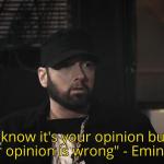 Eminem opinion