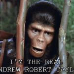 Andrew Taylor | I'M THE REAL 
ANDREW ROBERT TAYLOR | image tagged in andrew taylor,gorilla,animal,planet of the apes | made w/ Imgflip meme maker