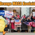 Trump Orange Koolaid MAGA Supporter