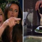 Woman Yelling At Cat Cat Splash Wet Pussy