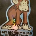 Sad little monkey