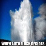 Old faithful  | WHEN AUTO FLUSH DECIDES YOU'VE TAKEN LONG ENOUGH | image tagged in old faithful | made w/ Imgflip meme maker