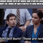 Ooh, self-burn! Those are rare! | A ROBBER BROKE INTO MY HOUSE AND STARTED LOOKING FOR MONEY SO I WOKE UP AND STARTED TO LOOK WITH HIM TOO. | image tagged in ooh self-burn those are rare | made w/ Imgflip meme maker