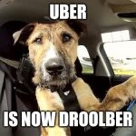 Uber Driver Replacement! | UBER; IS NOW DROOLBER | image tagged in uber driver replacement | made w/ Imgflip meme maker