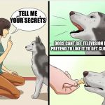 Wikihow Dog Training | TELL ME YOUR SECRETS; DOGS CANT SEE TELEVISION BUT THEY PRETEND TO LIKE IT TO GET CLOSE TO YOU. | image tagged in wikihow dog training | made w/ Imgflip meme maker
