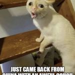 Cat Cough | JUST CAME BACK FROM CHINA WITH AN AWFUL COUGH | image tagged in cat cough | made w/ Imgflip meme maker