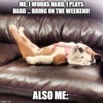 Tired Dog | ME: I WORKS HARD, I PLAYS HARD ... BRING ON THE WEEKEND! ALSO ME: | image tagged in tired dog | made w/ Imgflip meme maker
