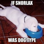 sleeping dog | IF SNORLAX; WAS DOG TYPE | image tagged in sleeping dog | made w/ Imgflip meme maker