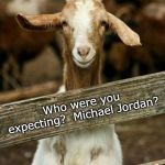 Its ok goat | YES, I'M A GOAT. Who were you expecting?  Michael Jordan? | image tagged in its ok goat | made w/ Imgflip meme maker