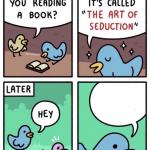 bird seduce meme