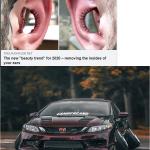 cambered ears