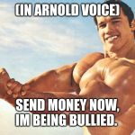 Strong arm arnie | (IN ARNOLD VOICE); SEND MONEY NOW, IM BEING BULLIED. | image tagged in strong arm arnie | made w/ Imgflip meme maker