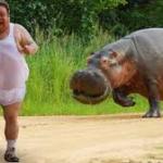 man being chased by hippo meme