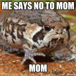 Grumpy Toad | ME SAYS NO TO MOM; MOM | image tagged in memes,grumpy toad | made w/ Imgflip meme maker