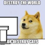 Hacker Doge | DESTROY THE WORLD; OR DESTROY CATS | image tagged in hacker doge | made w/ Imgflip meme maker