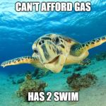 Sea Turtle | CAN'T AFFORD GAS; HAS 2 SWIM | image tagged in sea turtle | made w/ Imgflip meme maker