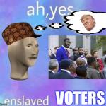 Ah yes enslaved black voters meme