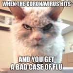 The only thing I want to do more than beat the crap out of everyone is not move a muscle | WHEN THE CORONAVIRUS HITS; AND YOU GET A BAD CASE OF FLU | image tagged in not amused,flu,funny memes,coronavirus,sucks | made w/ Imgflip meme maker