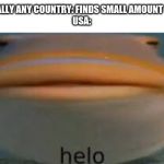 Helo | LITERALLY ANY COUNTRY: FINDS SMALL AMOUNT OF OIL
USA: | image tagged in helo | made w/ Imgflip meme maker