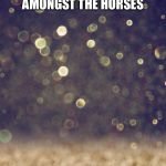 Glitter | WHAT IF YOU’RE MEANT TO BE
THE GLITTER
AMONGST THE SOIL,
THE UNICORN
AMONGST THE HORSES; OR THE
BRIGHT RED LIPPY
AMONGST THE NUDE SHADES | image tagged in glitter | made w/ Imgflip meme maker