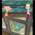 Look ferb this one's looking at both of us at the Same time meme