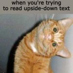 Cat has a question | when you're trying to read upside-down text | image tagged in cat has a question | made w/ Imgflip meme maker